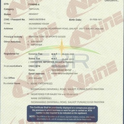 Naine Enterprises