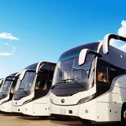 Phoenix Tours & Travels