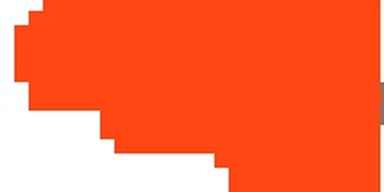SECURE LOGISTICS SERVICES