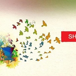 Sheikhan Birds