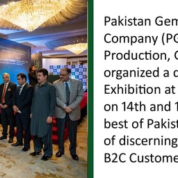 PAKISTAN GEMS & JEWELLERY DEVELOPMENT CO