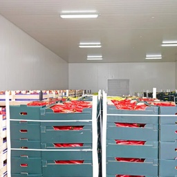 GODIL COLD CHAIN (PVT) LTD.