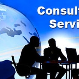 Ideal Expert Services