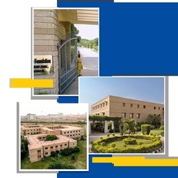 Textile Institute Of Pakistan