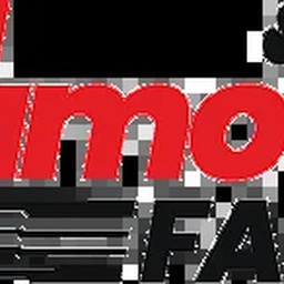TAIMOOR FAN COMPANY