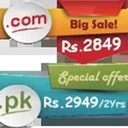 Pk Domain Registration, PKNIC prepaid card, Web hosting