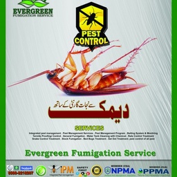Evergreen Fumigation Service
