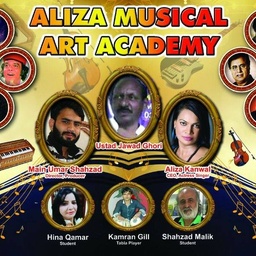 Aliza Musical Art Academy
