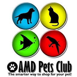 AMD Pets Club