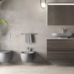 R.A.K. CERAMICS (U.A.E)