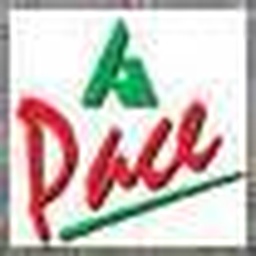 Pace Pakistan Ltd