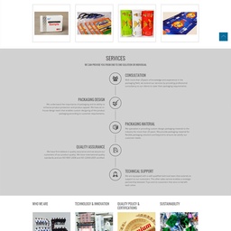 The Design Firm (TDF)