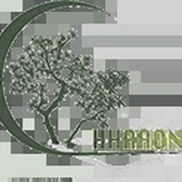 Chhaaon