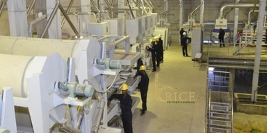 Rice International Pvt. Ltd