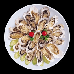 Ocean Gold Seafood
