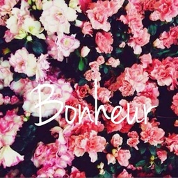 Le Bonheur
