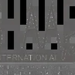 SHAAFTEX INTERNATIONAL