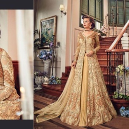 Diana and Parag Designer Dresses