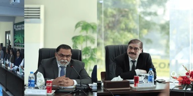 PCSIR (PAKISTAN COUNCIL OF SCIENCE & IND'L RESEARCH)