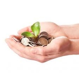 Primus Investment Management Limited