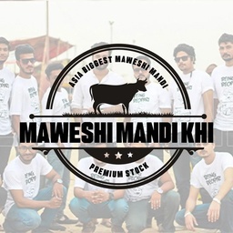 Maweshi Mandi