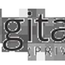 DIGITALSOFT