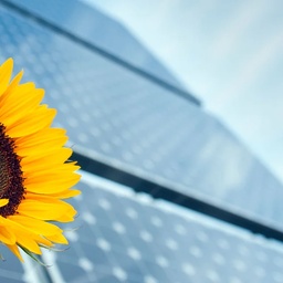 Nawal Khan Solar Energy Solutions
