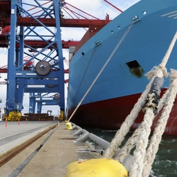 DELTA SHIPPING (PVT) LTD.