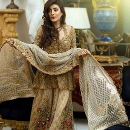Aleena Sameer