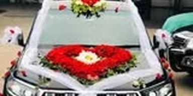 Naveed Motors & Rent A Car