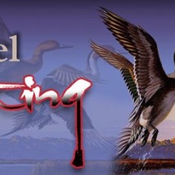 Corel Hunting