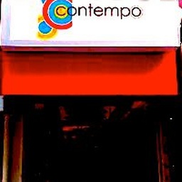 Contempo