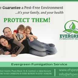 Evergreen Fumigation Service