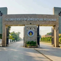 Nwfp Agricultural University