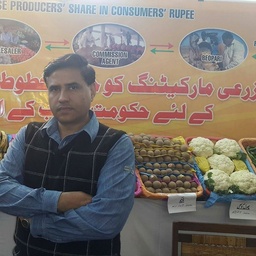 Fruit and Vegetable Market Badami Bagh Lahore.