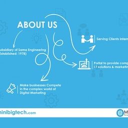 MiniBigTech - Digital Media Agency