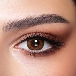 Mughal Optical Company