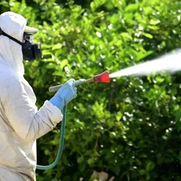 Termite Expert