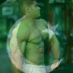 Body shapes Fitness center
