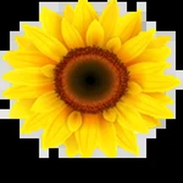 SUNFLOWER INDUSTRIES