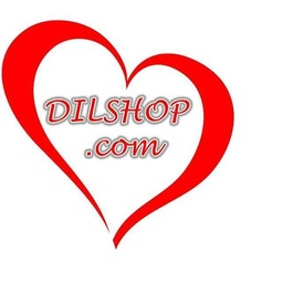 dilshop.com