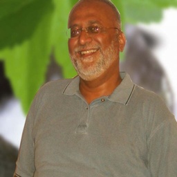 Hakeem Syed Abdul Basit