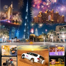 Premium Desert Safari