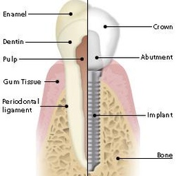 Dr. Hosein & Associates