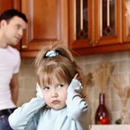 Familycaselawyer