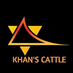 Khan's Cattle