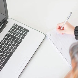 Professional Inspection & Audit Services
