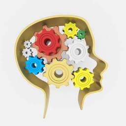 Psychologist Hub By Tehreem Talat