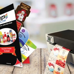 DIGITAL IMAGING SYSTEMS