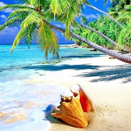 ZMI Travels & TOURS  زیڈ ایم آئی ٹریولز اینڈ ٹورز